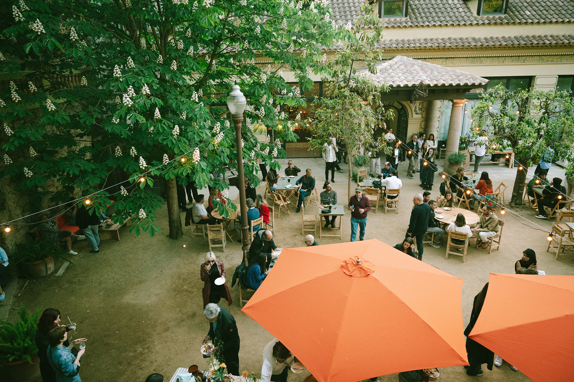 la font del gat restaurant